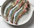 Fresh Whole Shrimp