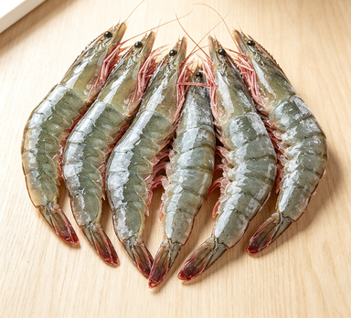 Fresh Whole Shrimp