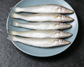 Fresh Whole Sardines