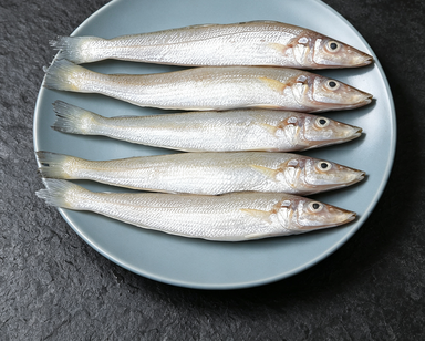 Fresh Whole Sardines